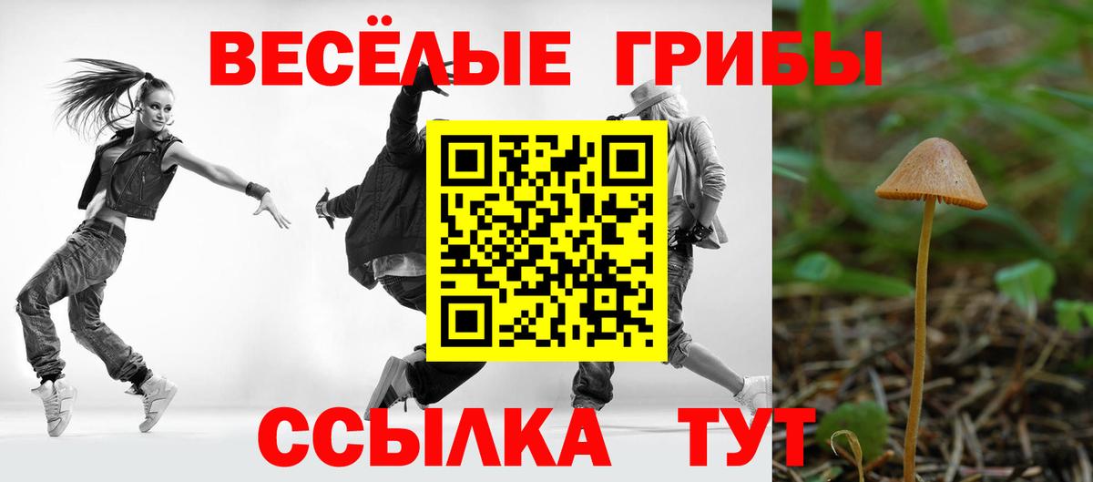 Старая Русса  Псилоцибиновые грибы ЛСД  Вход с VPN 